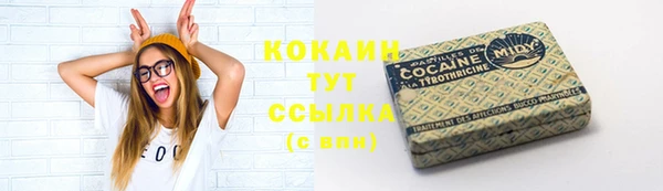 твердый Бронницы