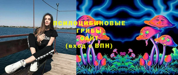 a pvp Бородино
