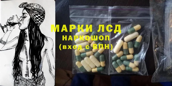 a pvp Бородино