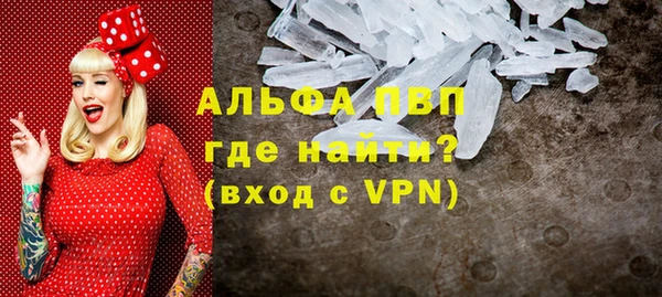 a pvp Бородино