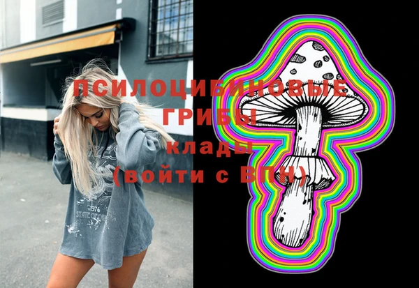 твердый Бронницы